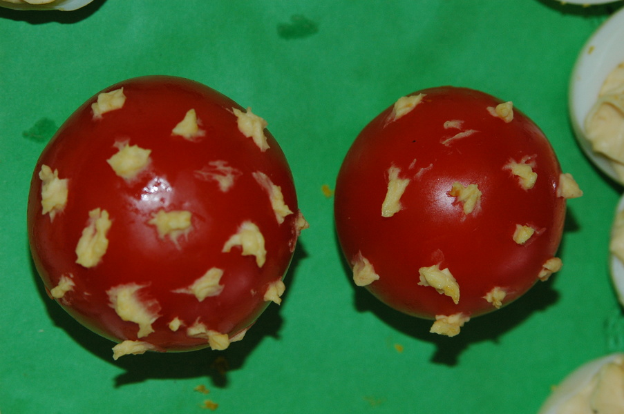 dsc 8251
